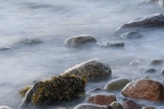 Rendering Tide 4