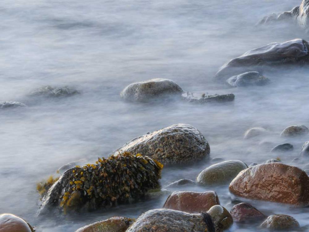 Rocks and seaweed in sea