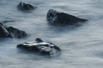 Rendering Tide 9